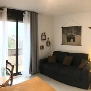  Appartement Aux Pieds Des Remontees Mecaniques France